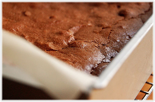 brownies4.jpg