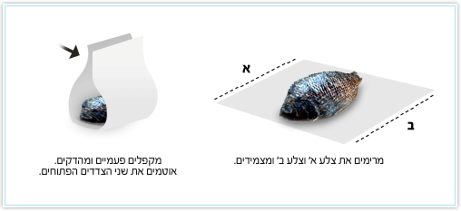 roast-fish-diagram.gif