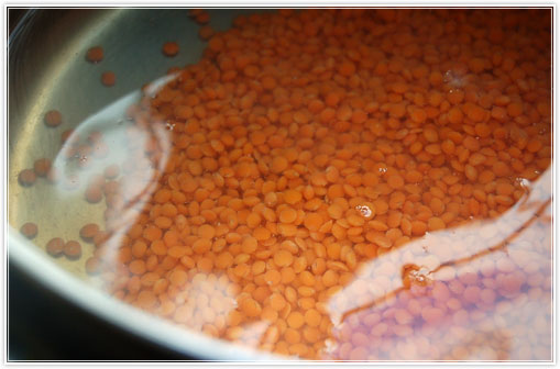 coleslaw-lentils11.jpg