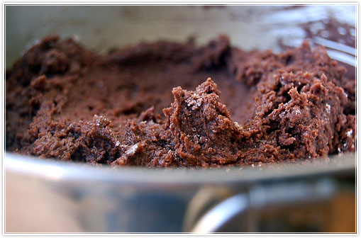 chocolate-cookies10.jpg